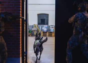 The war on terror is coming home: Casey Babb in the Hill